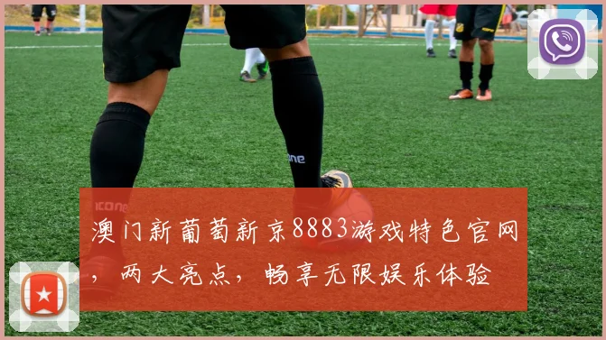 澳门新葡萄新京8883游戏特色官网，两大亮点，畅享无限娱乐体验
