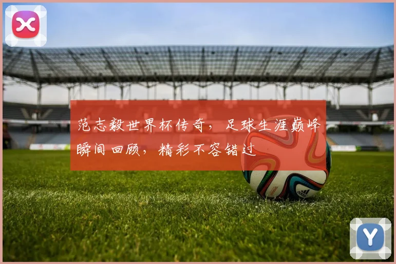 范志毅世界杯传奇，足球生涯巅峰瞬间回顾，精彩不容错过