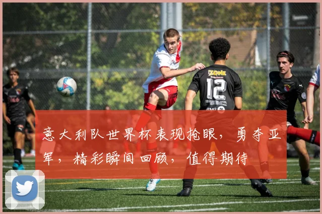 意大利队世界杯表现抢眼，勇夺亚军，精彩瞬间回顾，值得期待